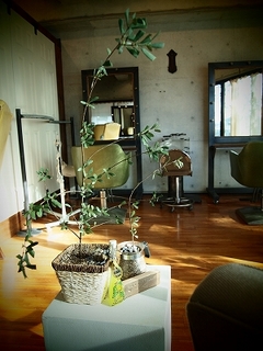 ヘアラウンジ スリービー(HAIR LOUNGE THREE BEE)の店内雰囲気4